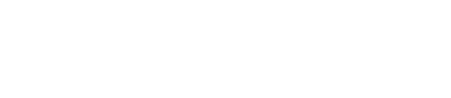 LIONWIN55